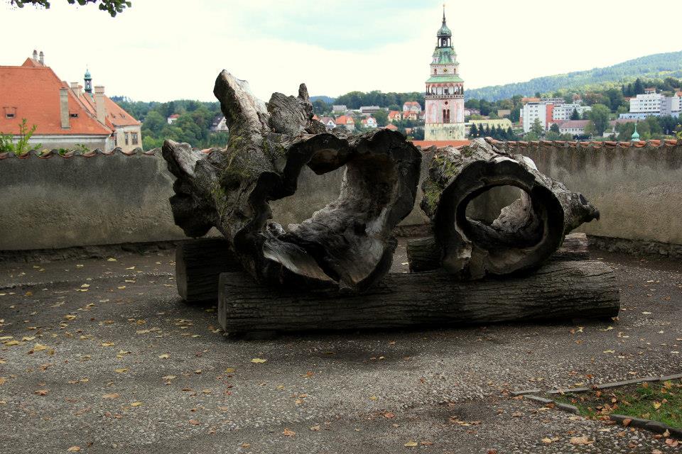 1236098_10202086521744299_1390698367_n