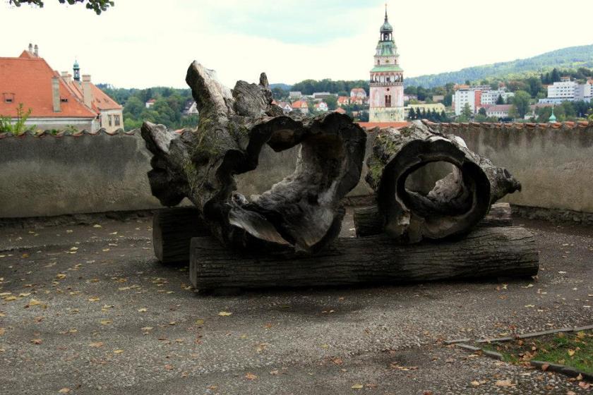 1236098_10202086521744299_1390698367_n