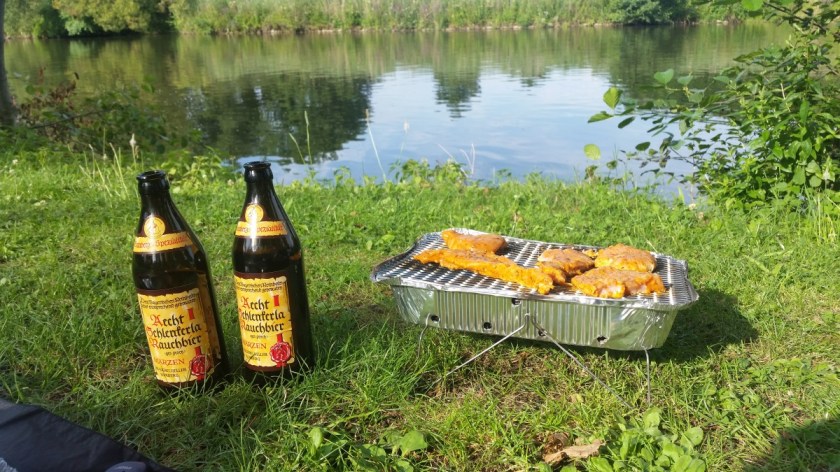 Маринованное мясо на мангале (3)