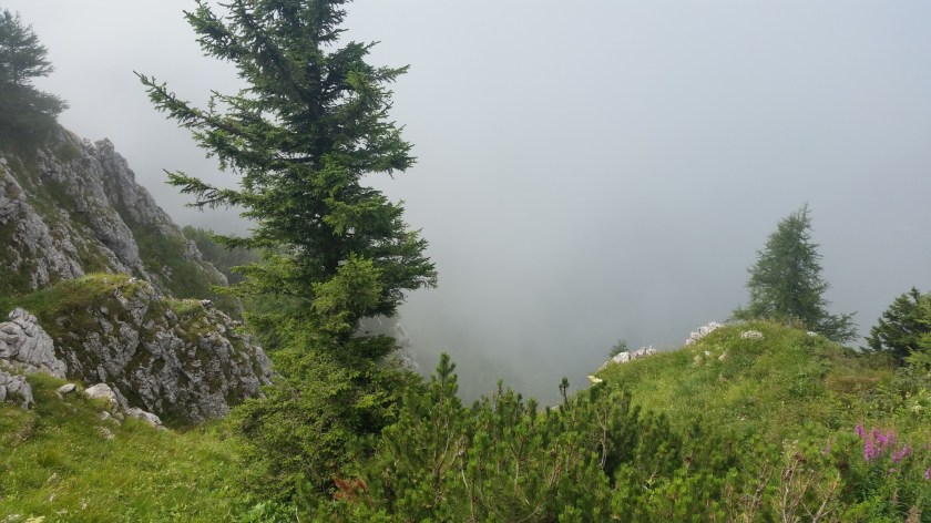 Орлиное гнездо,Kehlsteinhaus. Чайный домик Гитлера. (4)