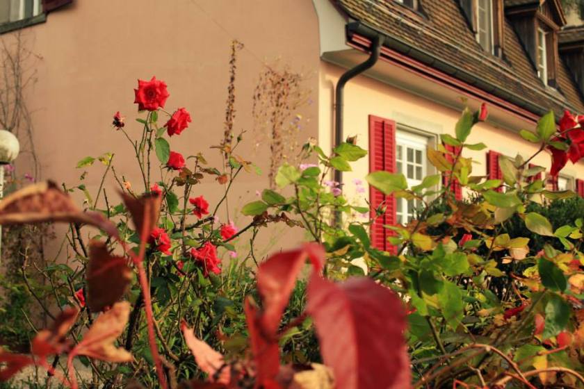 Цюрих,Швейцария (4)