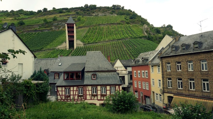 Виногрвдники Мозель Бахарах (1)