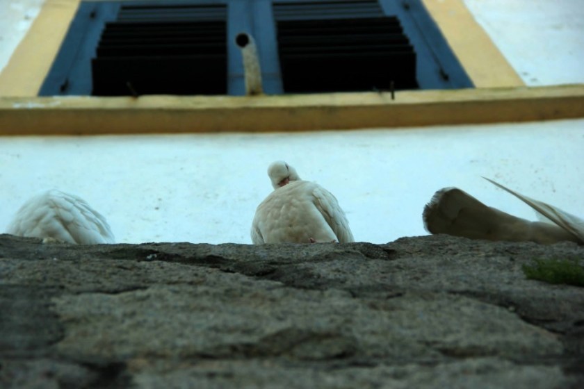 Макао Китай (26)