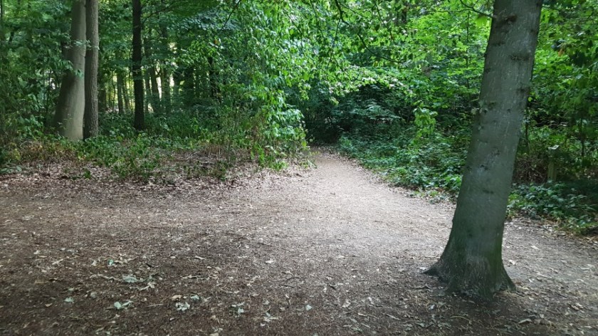 Кемпинг около Брюгге (1)