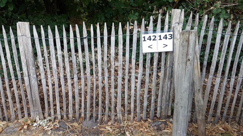 Кемпинг около Брюгге (2)