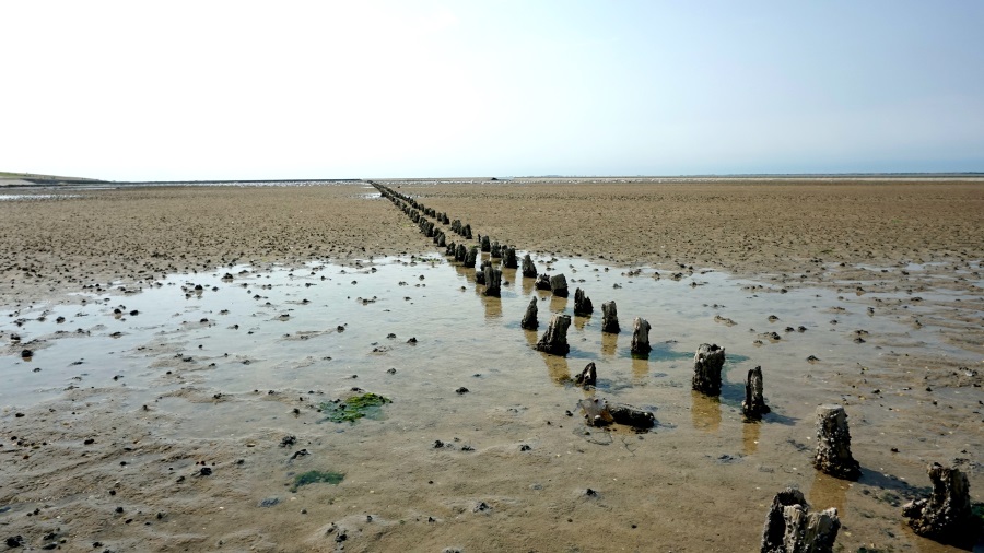 Кемпинг около северного моря (7)