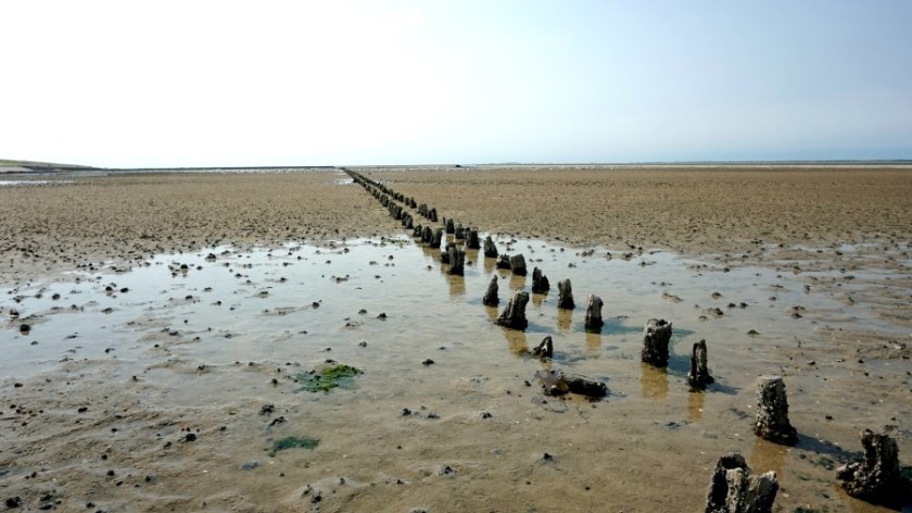 Кемпинг около северного моря (7)