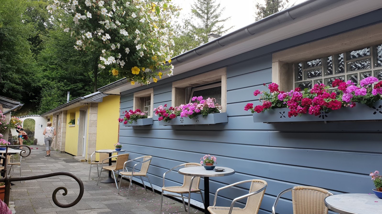 Небольшой дворик в кемпинге (1)