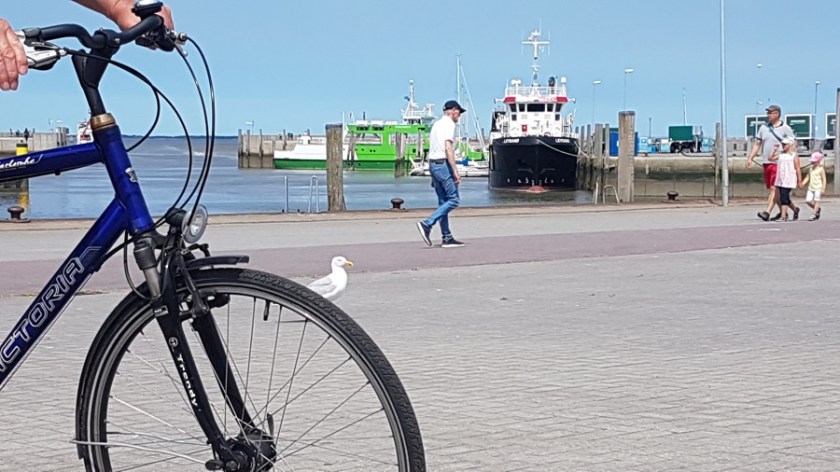 Нойхарлингерзиль Германия рыбацкая деревня (6)