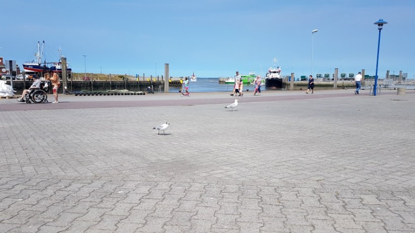 Нойхарлингерзиль Германия рыбацкая деревня (7)