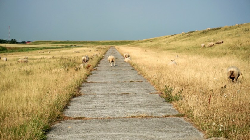 Палатка на берегу северного моря (3)
