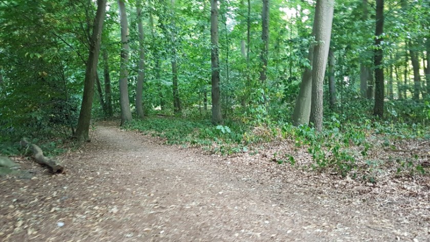 Палаточный кемпинг около Брюгге Бельгия (5)