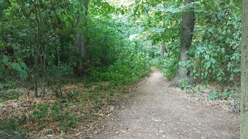 Палаточный кемпинг около Брюгге Бельгия (6)