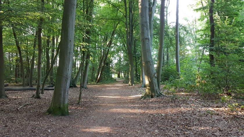 Палаточный кемпинг около Брюгге Бельгия (7)