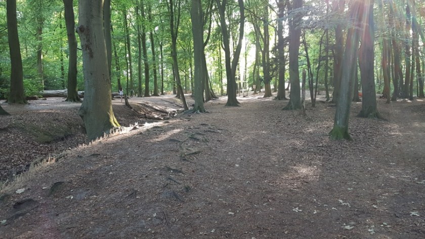 Палаточный кемпинг около Брюгге Бельгия (8)