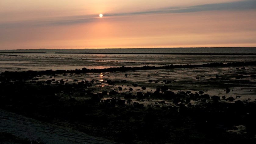 Северное море с палатками (1)