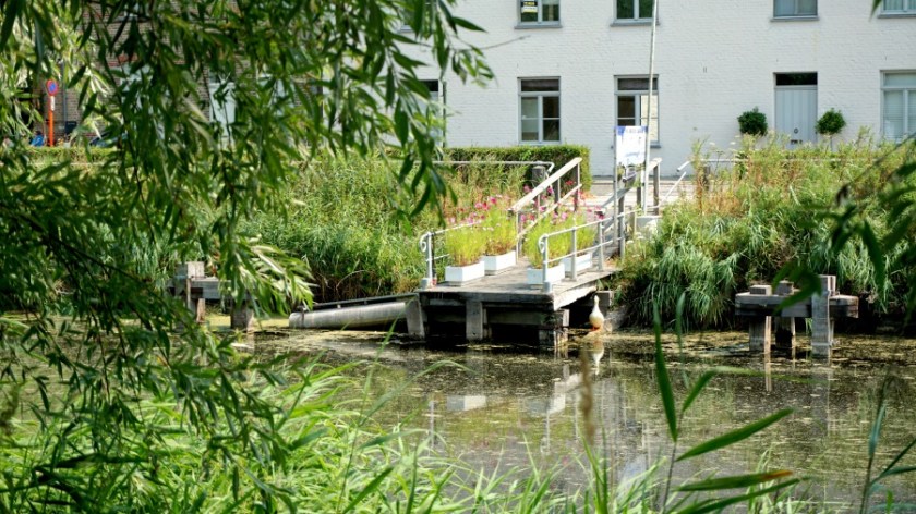 Lamme Goedzak from Bruges to Damme (10)