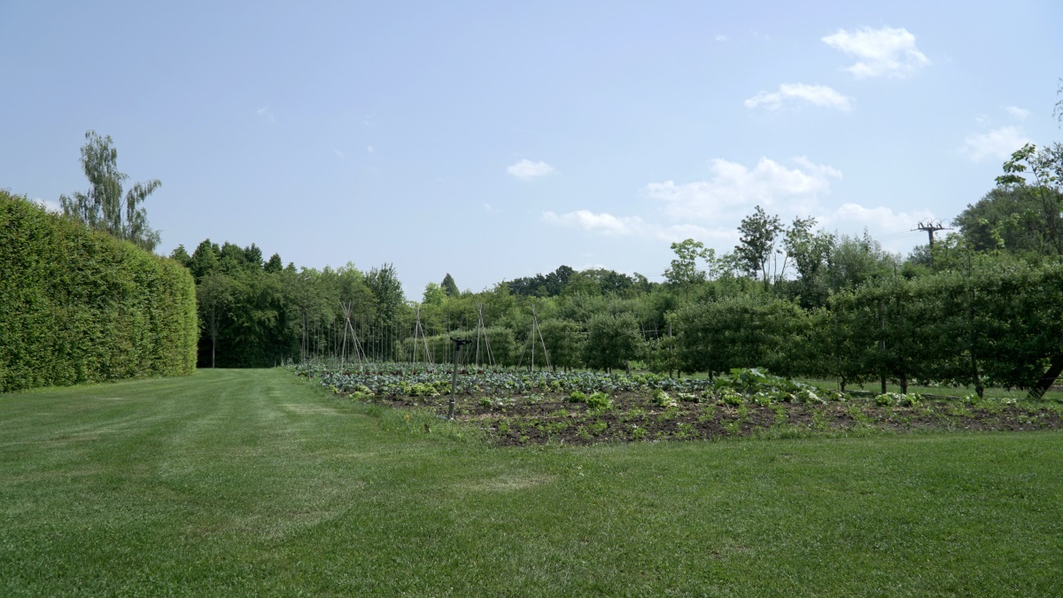 Botanicus craft center (10)