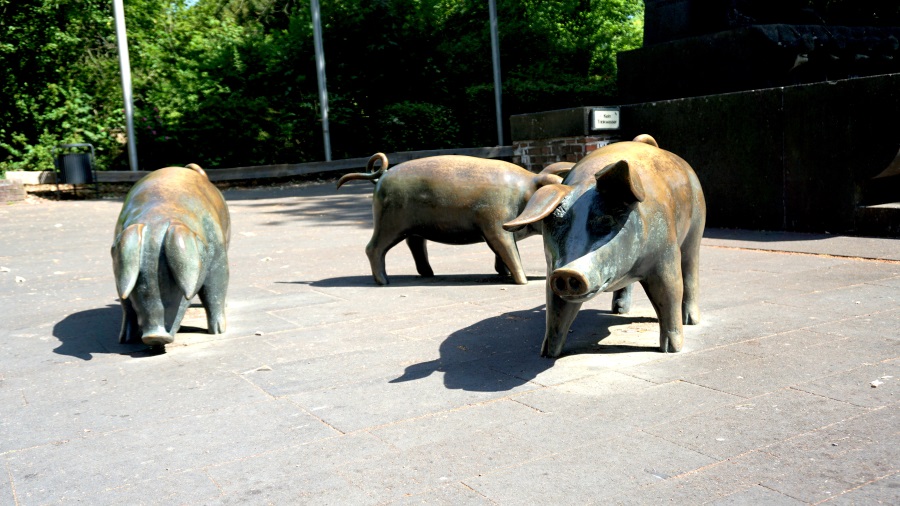 города Германии (13)