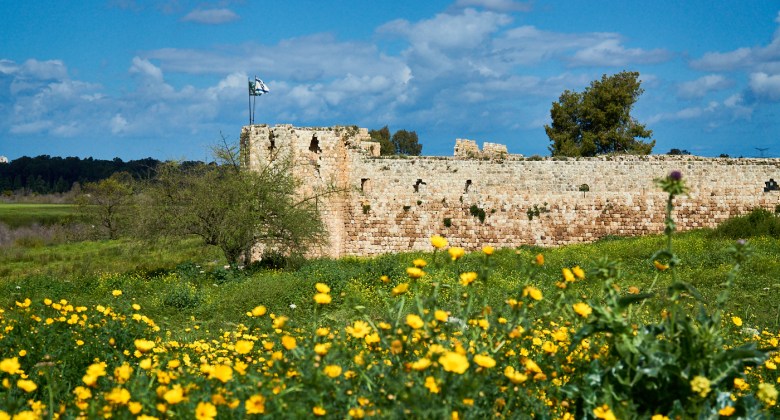 Антипатрида Тель Афек Израиль