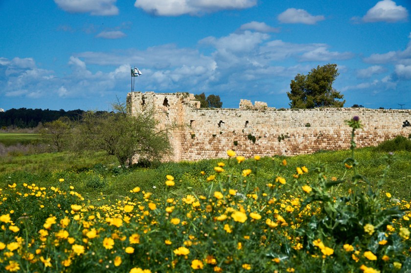 Антипатрида Тель Афек Израиль