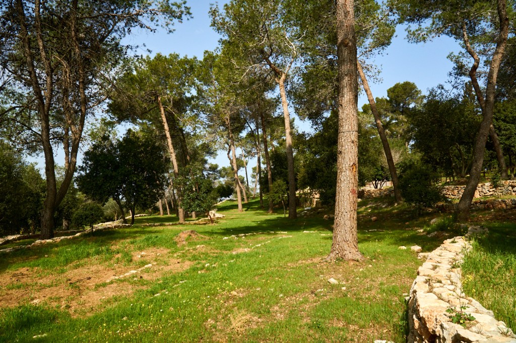 Кемпинг Бар Гиора