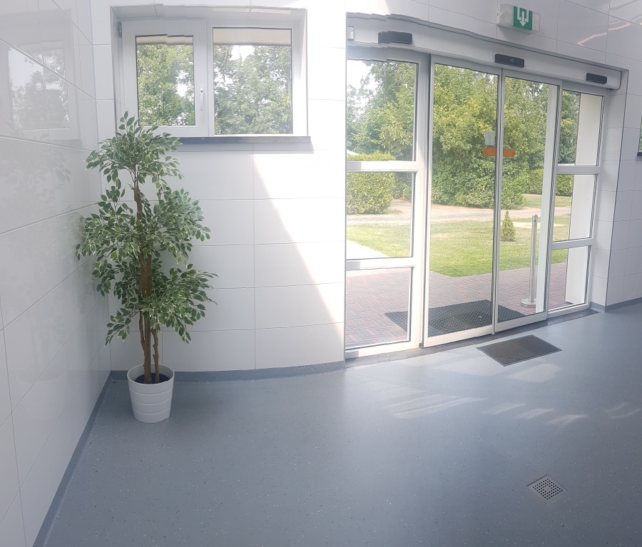 около Гронингена Нидерланды (5)