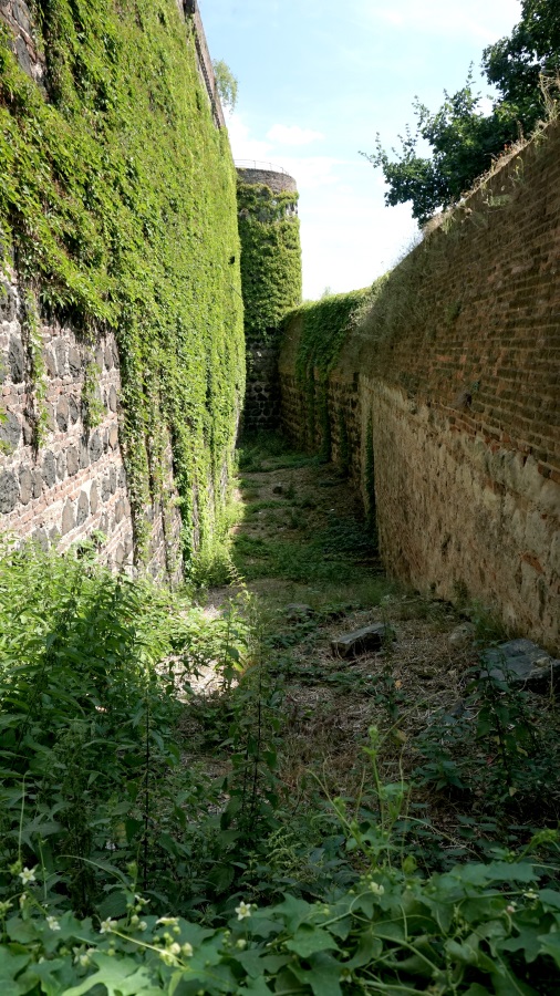 город Цонс Германия (12)