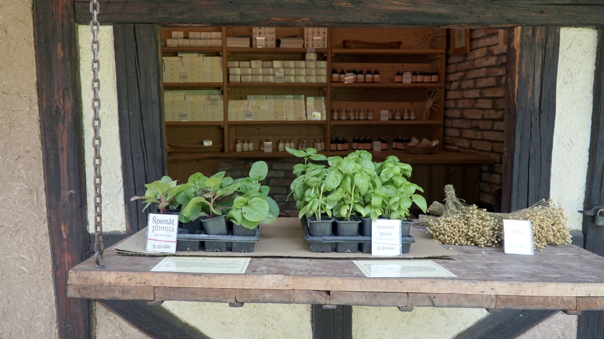 Ремесленный ценрт (9)