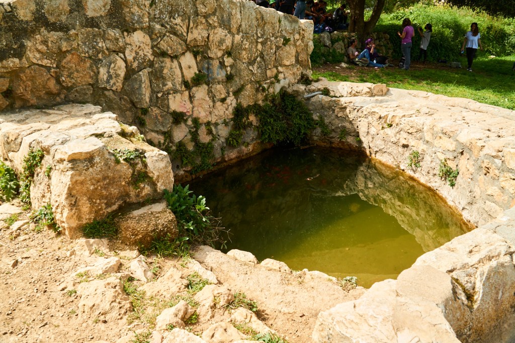 Источник Эйн Худ