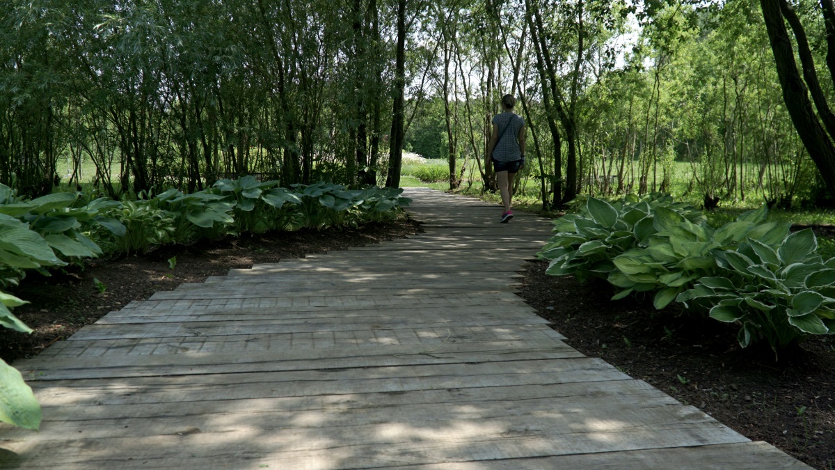 Botanicus craft center (12)