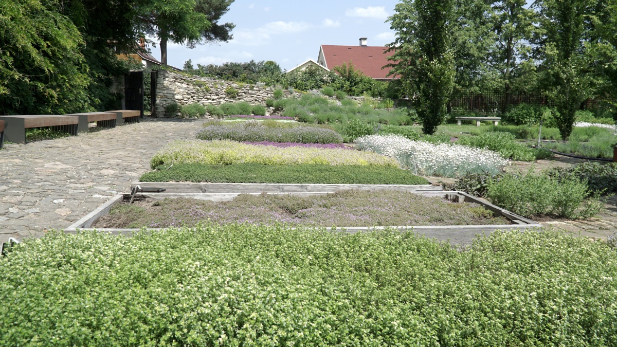 Ремесленный ценрт (7)