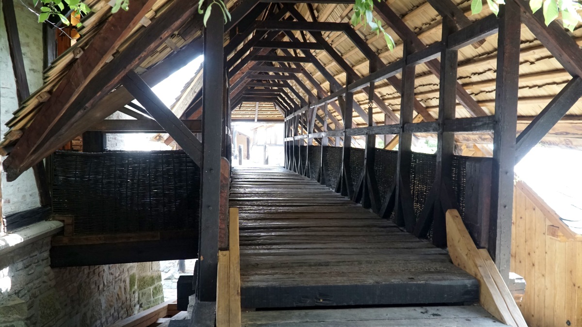 Botanicus craft center (1)