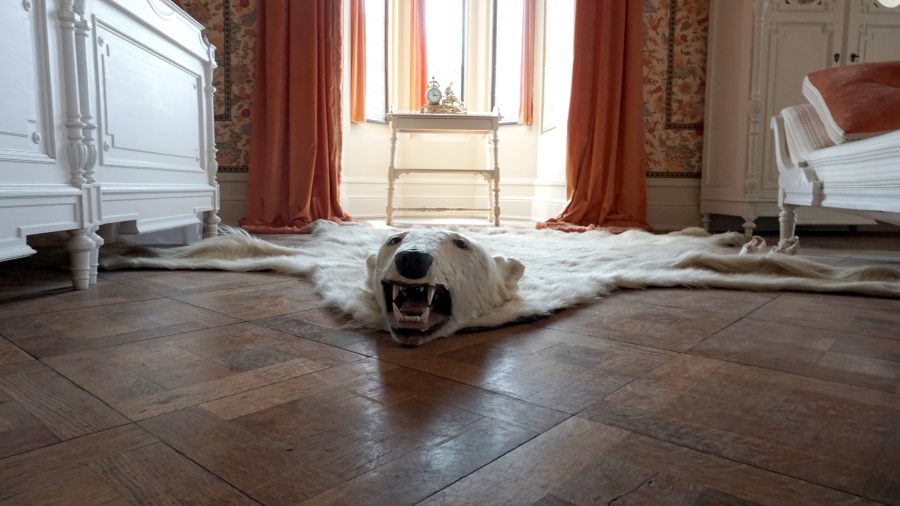 Schloss Drachenburg Germany (15)