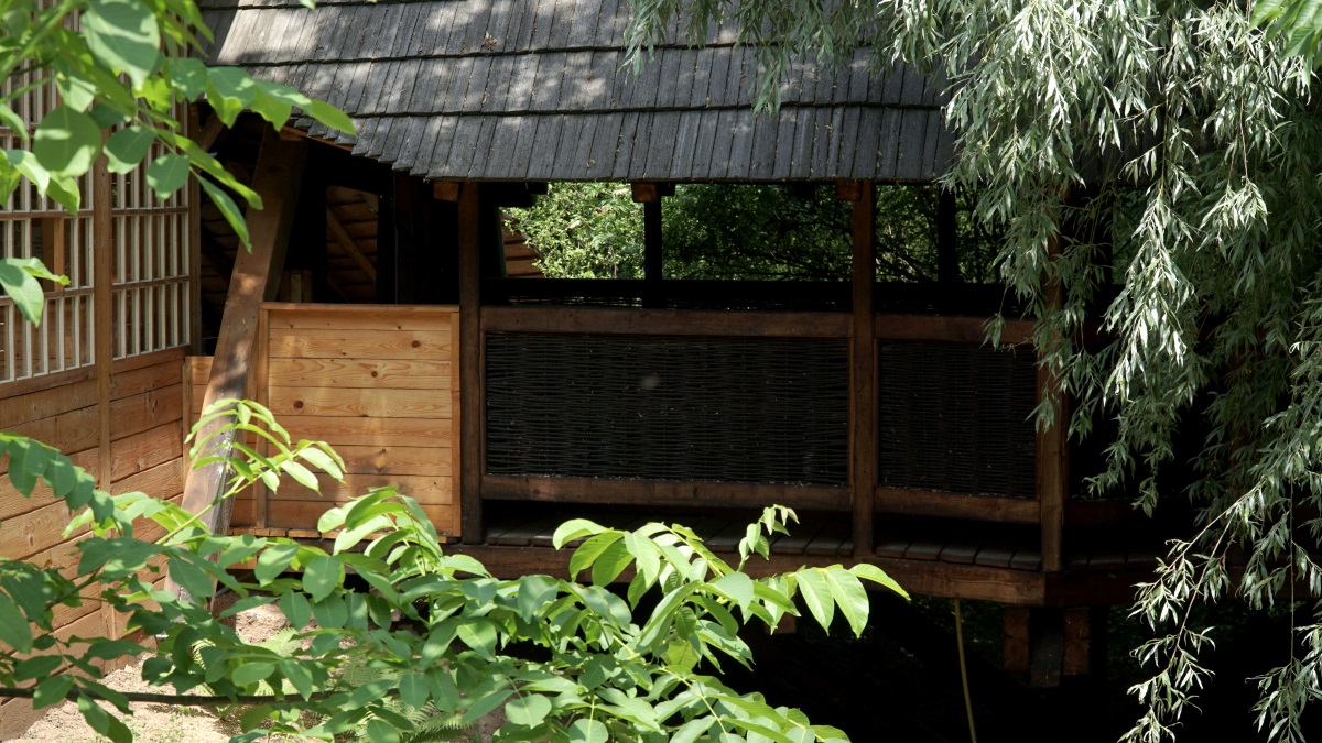 Botanicus craft center (15)