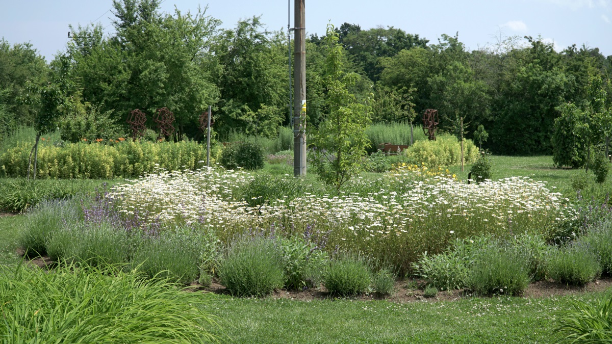 Botanicus craft center (13)