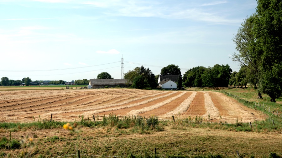 города Германии (9)