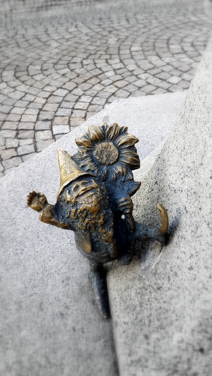 Gnomes in Wroclaw (8)