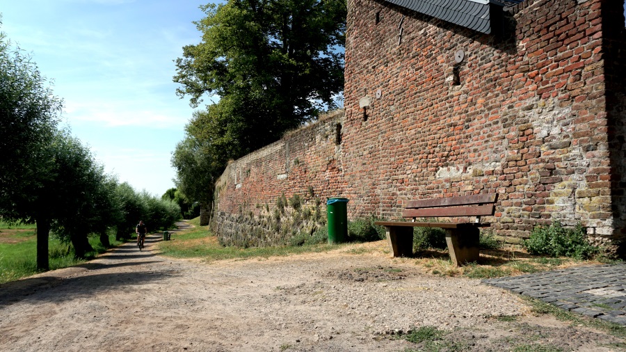 Цонс на Пароме (7)