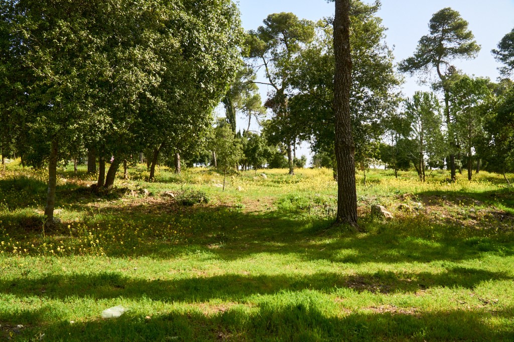 Кемпинг Бар Гиора