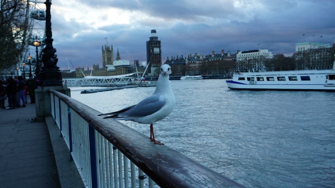 заняться в Лондоне (3)