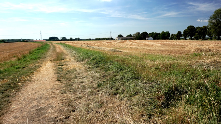 города Германии (6)