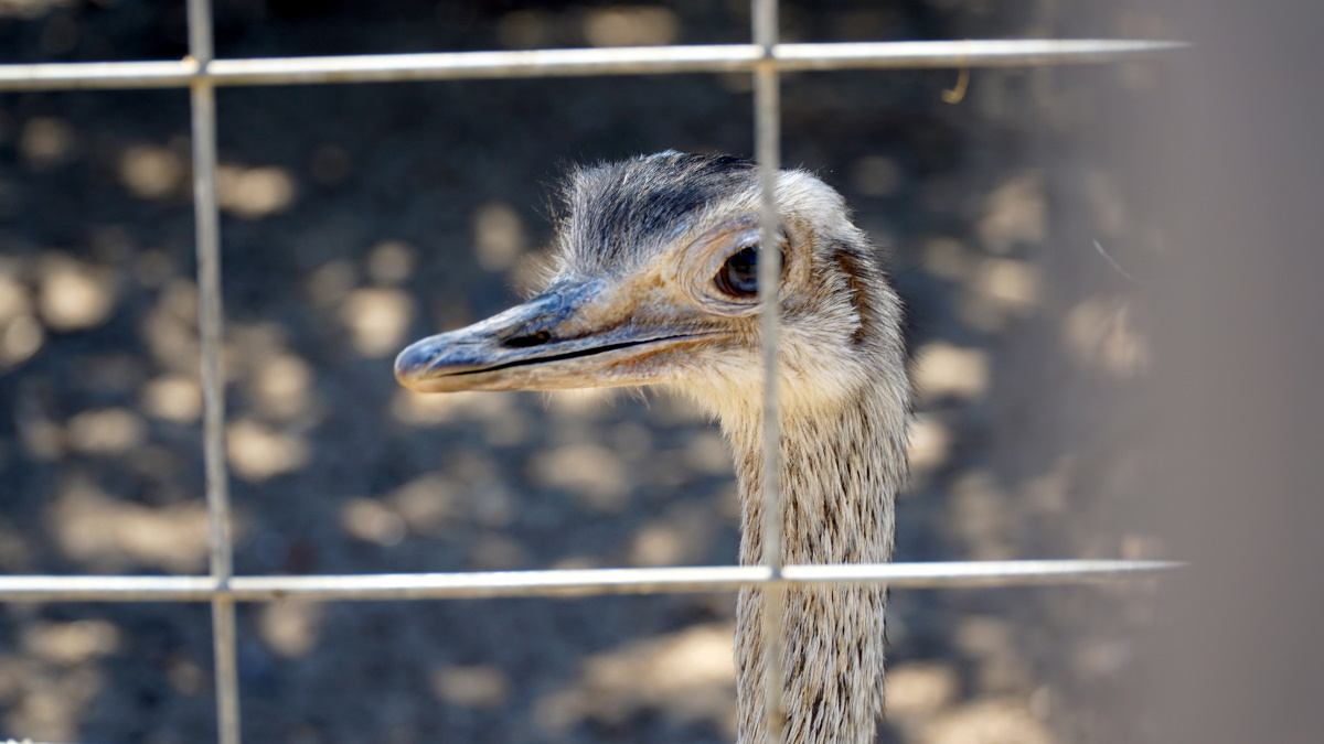 чем заняться (2)