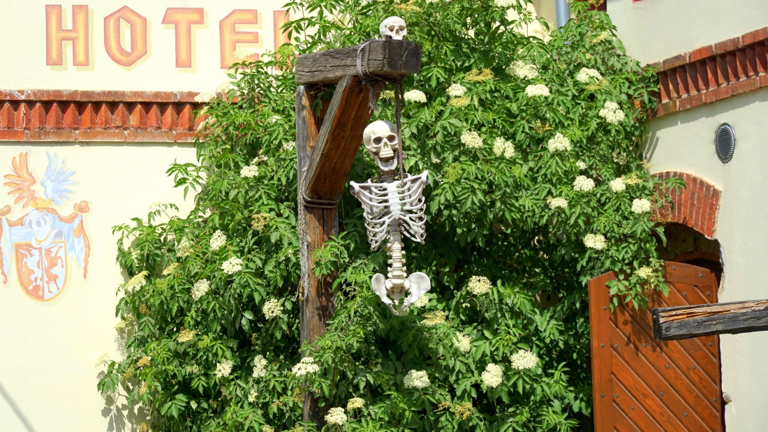 Detenice castle (12)