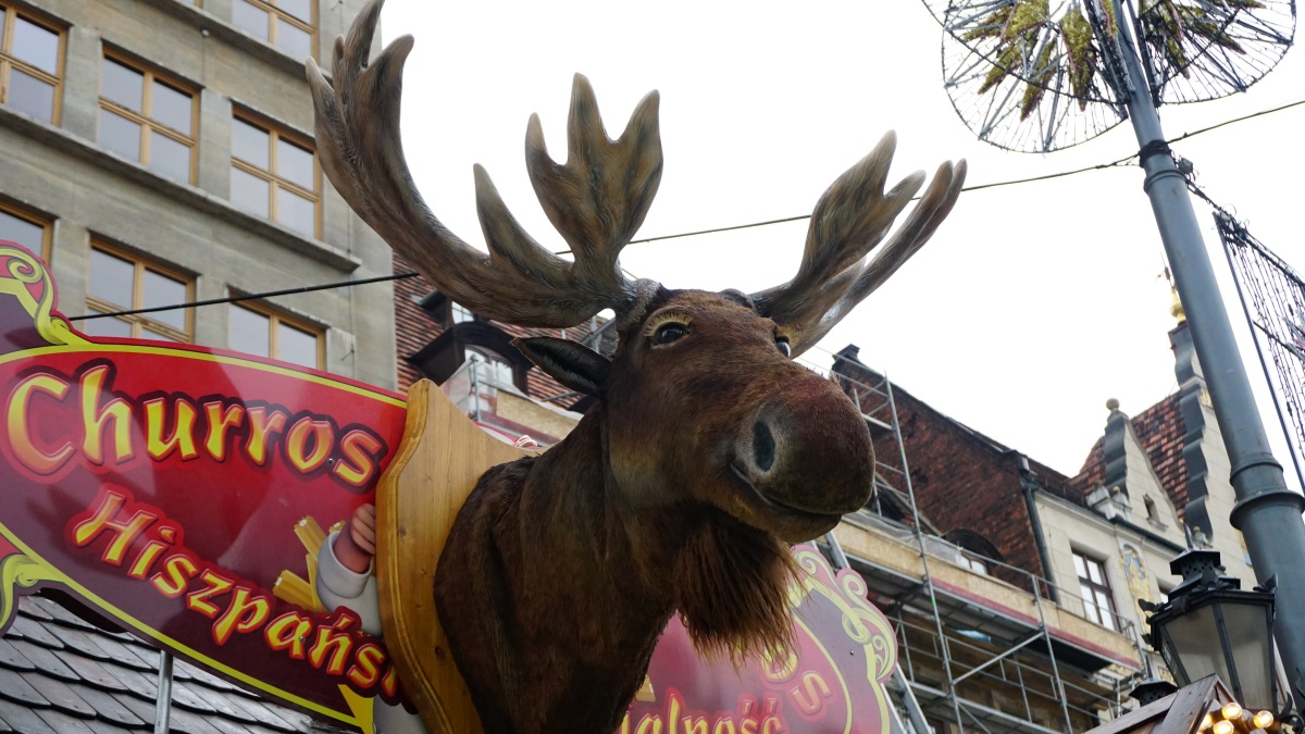 Christmas in Wroclaw (4)