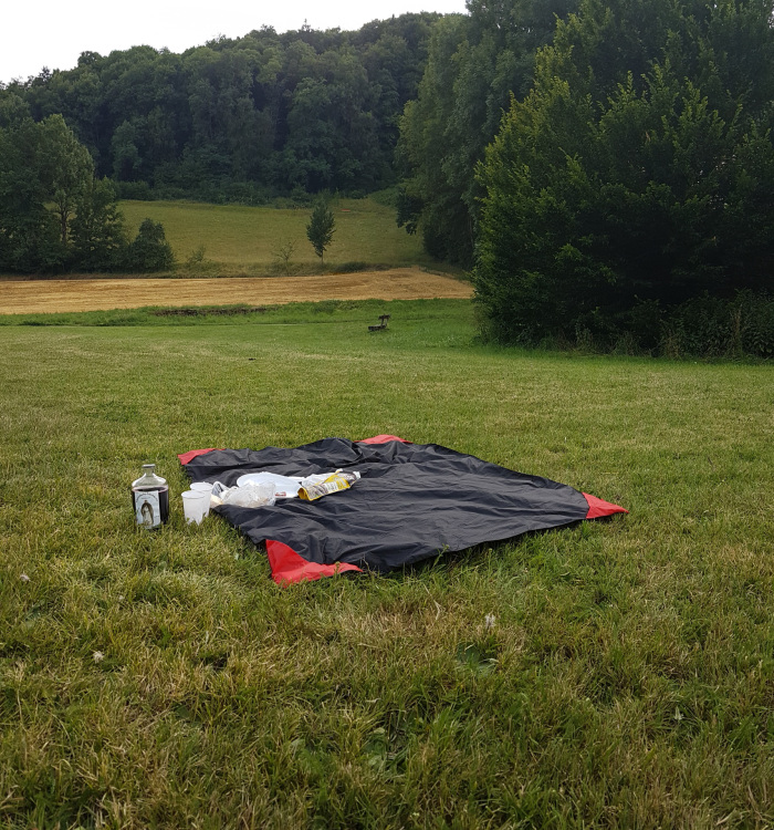 на природе в лесу